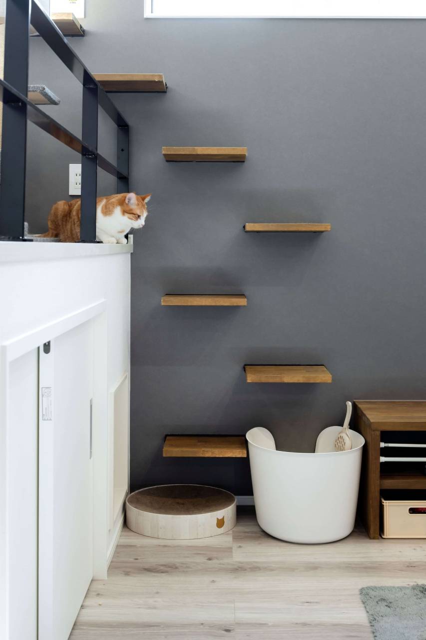 猫も人も満足！福岡県で叶える注文住宅のスキップフロアとキャットウォーク