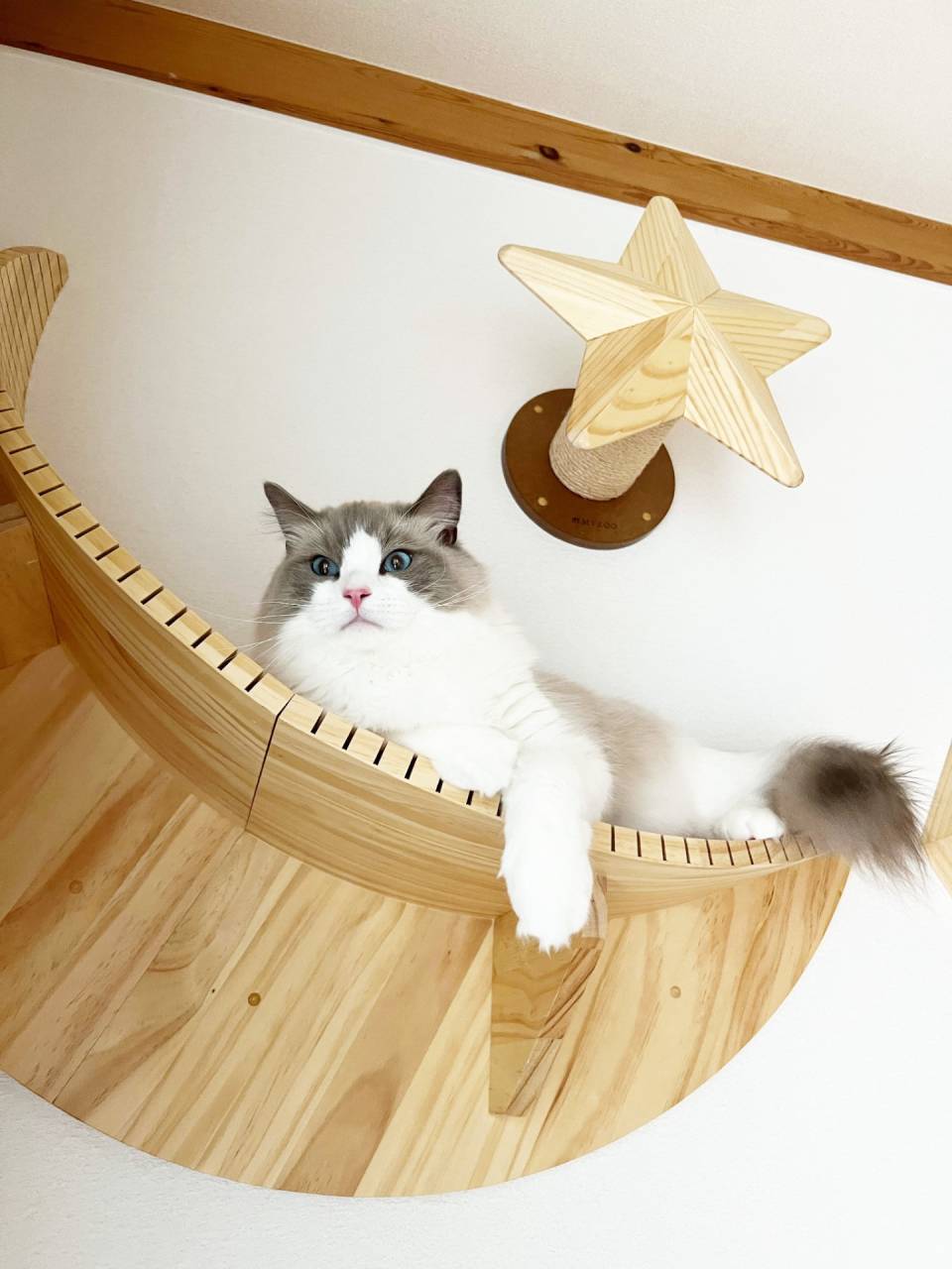 【福岡県福津市】新築　注文住宅の内観　壁面に設置されたキャットステップ