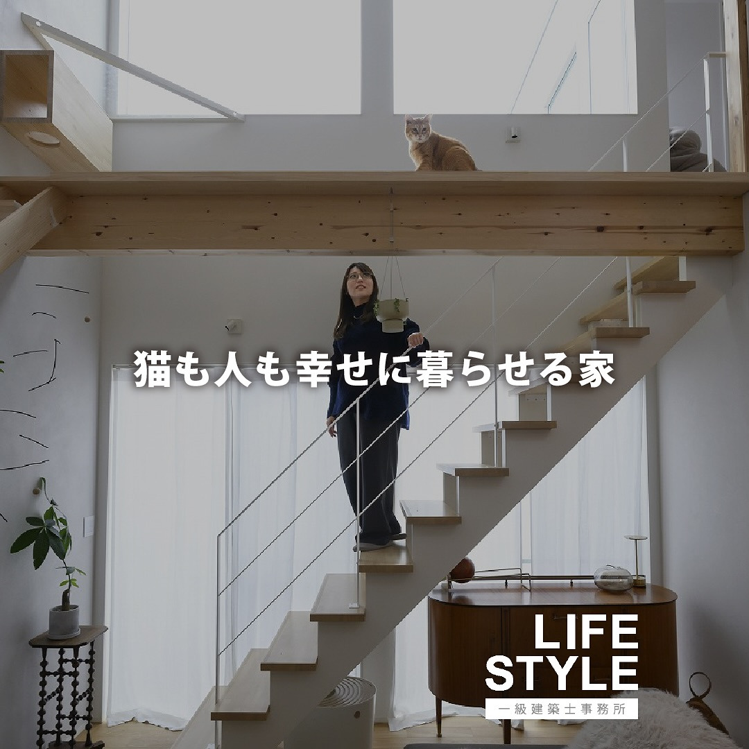 【注文住宅】猫も人も幸せに暮らせる家