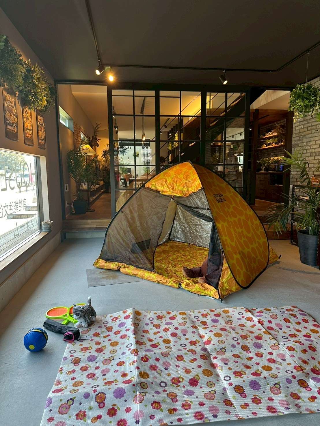 【福岡県古賀市】ガレージハウスの多目的利用　お家キャンプやBBQにも利用できます