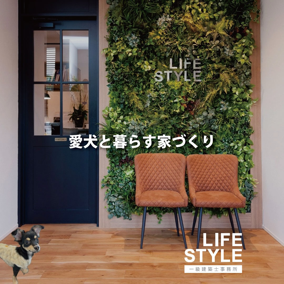 愛犬と暮らす家づくり