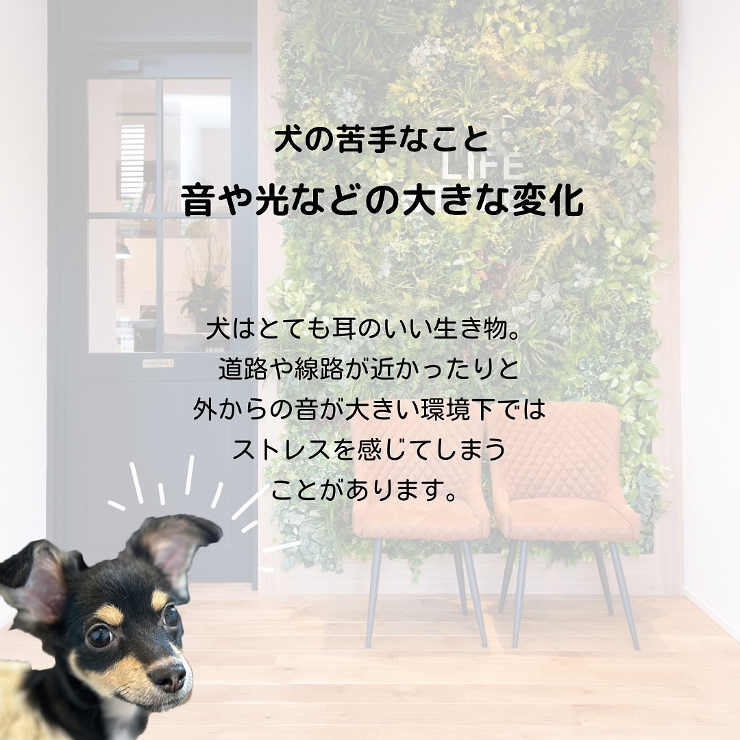 愛犬と暮らす家づくり