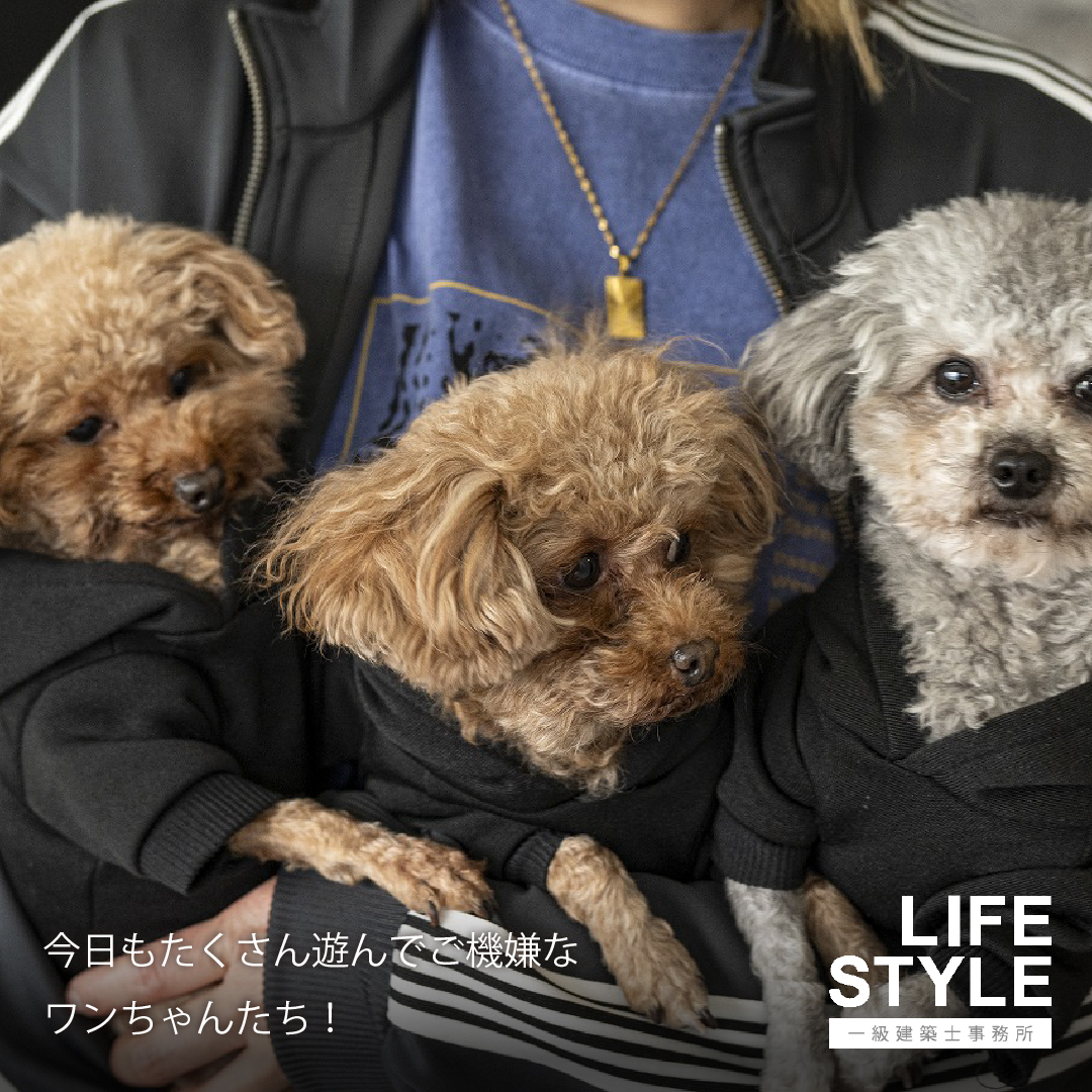 【福津市注文住宅|リビングからつながる、家族と愛犬の「もうひ...