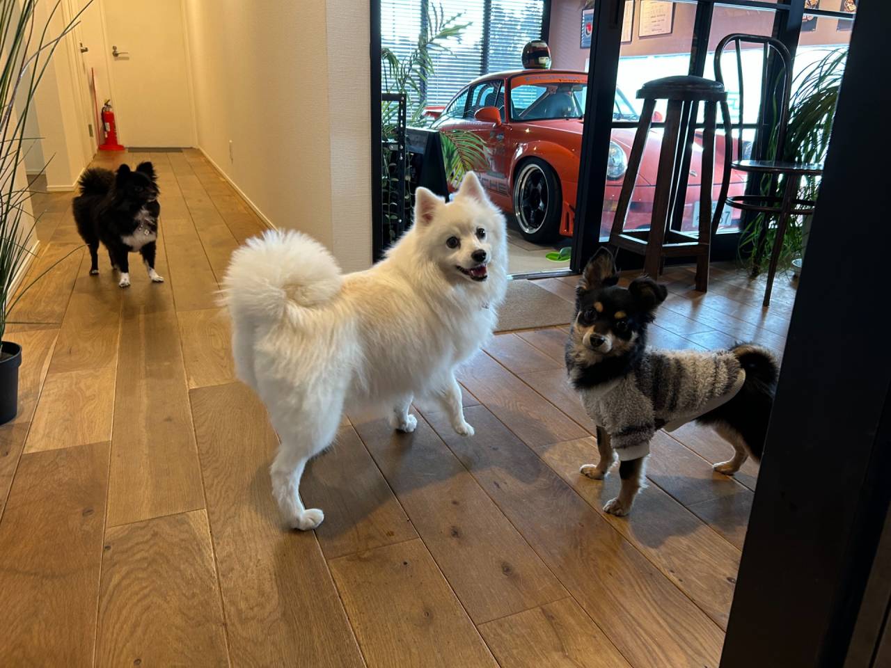 【福岡県古賀市】愛犬と暮らす注文住宅