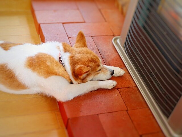 快適な家ってどんな家？快適な家づくりのポイントを紹介します