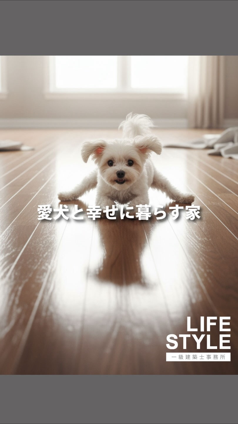🐶 愛犬と快適に暮らす家づくりのヒント💡