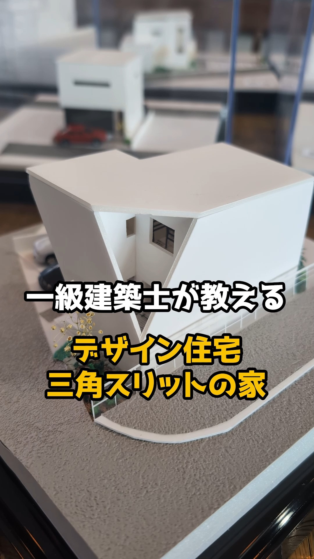 家の中に…トランポリン！？🤸‍♀️ボルダリング！？🧗‍♂️