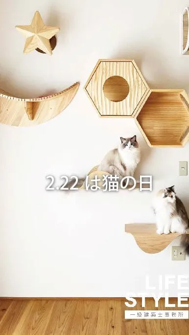 2.22は猫の日です🐈